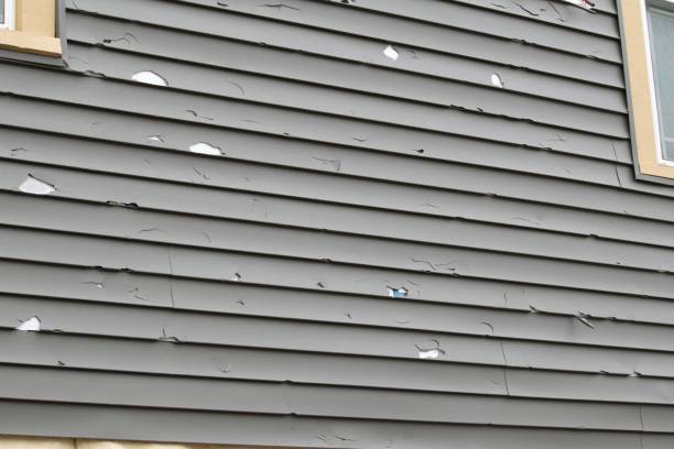 Best Storm Damage Siding Repair  in Lake Wazeecha, WI